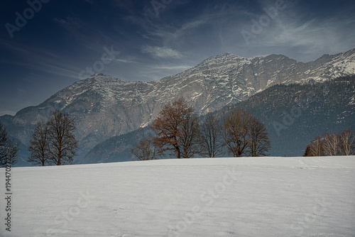 Bare winter trees standing in a snowy field with the majestic Steinernes Meer mountains towering in the background under a cloudy sky by Saalfelden