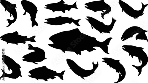 Collection of black silhouettes of salmon and trout fish jumping and swimming, underwater wildlife animal set, flat vector illustration