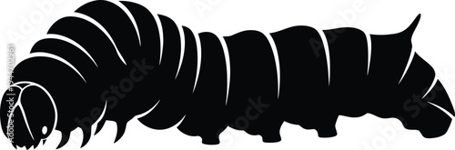 Centipede silhouette, crawling arthropod illustration, black silhouette of a