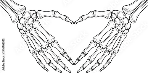 Skeleton hands forming a heart shape in monochrome line art for Halloween or medical themes