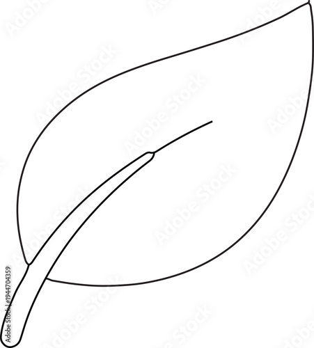Simple black and white line of a leaf with central vein