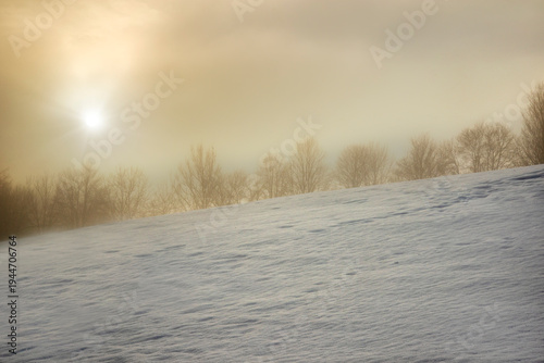 Snow covered hill with bare trees in thick winter fog illuminated by golden sunrise light.