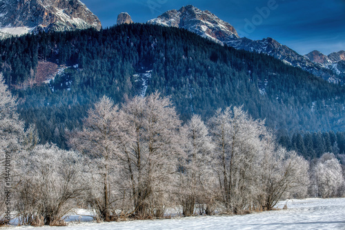 Hoarfrost covered tree line in a winter landscape with the Steinernes Meer mountain range near Saalfelden, Austria.
