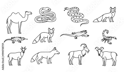 Minimal Camel and Desert Animal Silhouette Vector Icons