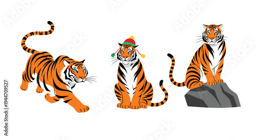 Three illustrations of a tiger show the animal in different poses including prowling and wearing a winter hat.