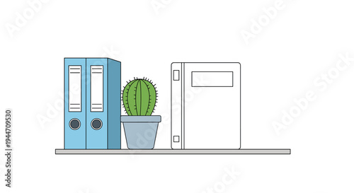 Office organization shelf holds blue and white binders next to a small green cactus in a gray ceramic pot.