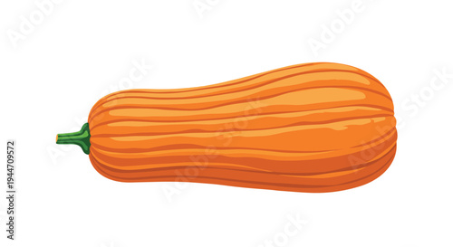 Large orange butternut squash with a smooth skin and green stem is presented on a plain white background.