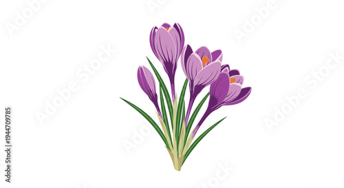 Group of purple and white crocus flowers with green leaves emerging from the ground, signaling the arrival of early spring in a garden.