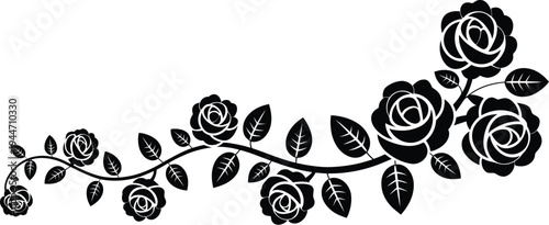 Rose floral border vector, horizontal black rose border with connected stems leaves and blooming flowers isolated on white background.