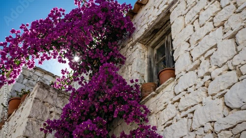 Low angle view of vibrant purple bougainvillea flowers blooming over a white-washed stone wall with sun star flare effect against deep blue sky. Mediterranean Greek island summer