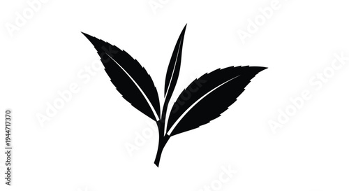 Elegant black tea leaves form a striking botanical silhouette