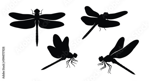 Four black dragonfly shapes presented as a striking silhouette