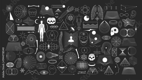 Vector set of abstract wireframe geometric shapes and anatomy icons