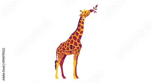 Giraffe eating leaves from a branch, stylized illustration, white background