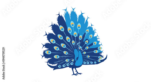 Vibrant Blue Peacock Displaying Tail Feathers, Isolated on White Background
