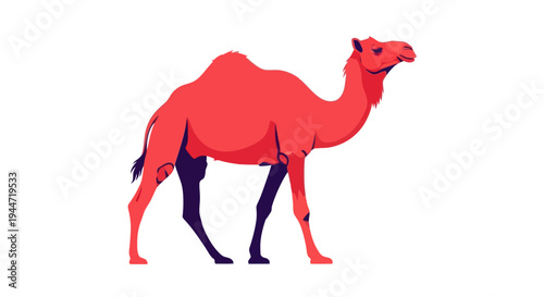 Red Camel Illustration - Isolated on White Background