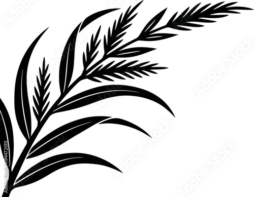 Black silhouette of a palm tree branch with leaves