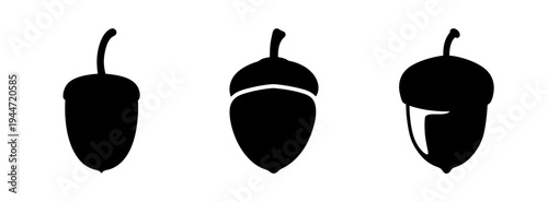 Acorn vector illustration: autumn season acorns clip art, oak tree seed drawing and silhouette design elements