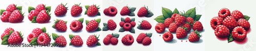Raspberry Fruit Vector Illustration Collection