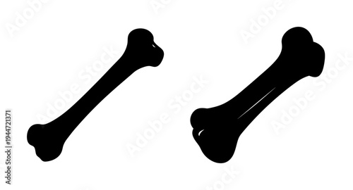 Bone anatomy illustration of skeletal system for medical education and study of human bones