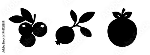 Black silhouette of berries and leaves vector illustration for graphic design and art projects