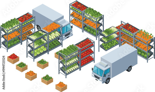 Isometric fresh vegetable warehouse with delivery trucks, produce storage racks, farm harvest distribution, grocery supply chain logistics vector illustration