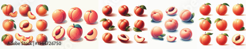 Peach Fruit Vector Illustration Collection