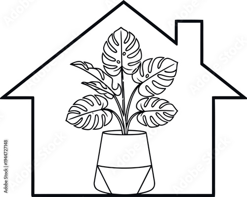 Monstera deliciosa plant in a decorative pot inside a charming house outline, symbolizing home gardening, indoor greenery, and a cozy domestic environment with natural elements.