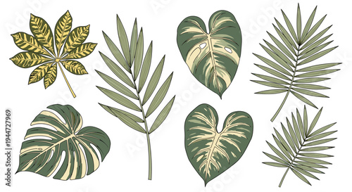 Vintage botanical illustration of various tropical plant leaves including palm and monstera species with detailed green textures.