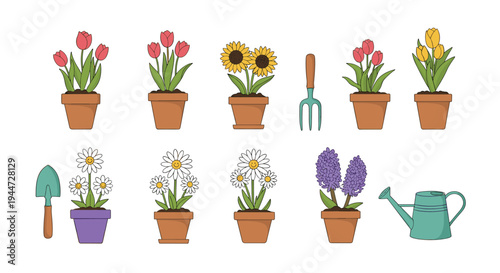 Collection of various spring flowers in clay pots including tulips, sunflowers, and daisies alongside essential gardening tools.