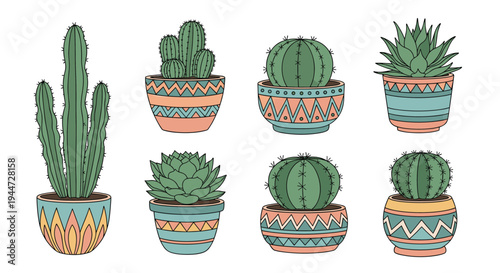 Assortment of different cacti and succulent plants housed in beautifully patterned and colorful ceramic pots for home decor.