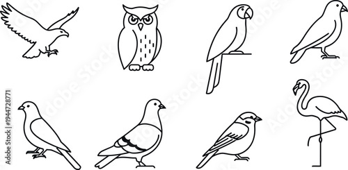 A collection of eight distinct minimalist line art icons featuring various flying and wading birds in simple black and white vector outlines.