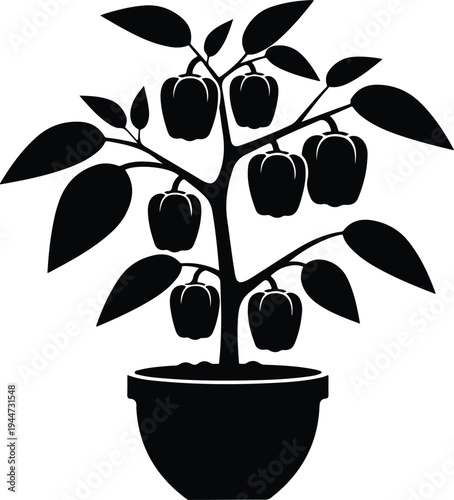 Silhouette bell pepper plant growing in a ceramic flower pot vector illustration