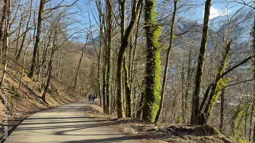 Forest road on old hiking trail with moss covered trees and mountain landscape near Krasnaya Polyana under clear daylight. Outdoor recreation, hiking tourism, nature travel and mountain adventure