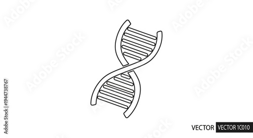 DNA Double Helix Structure Vector Illustration.