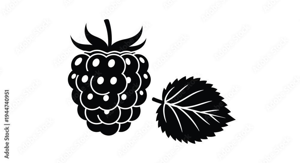 Obraz premium Black raspberry with a leaf a dramatic silhouette