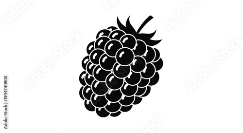 Detailed black raspberry illustration with a distinct solid silhouette