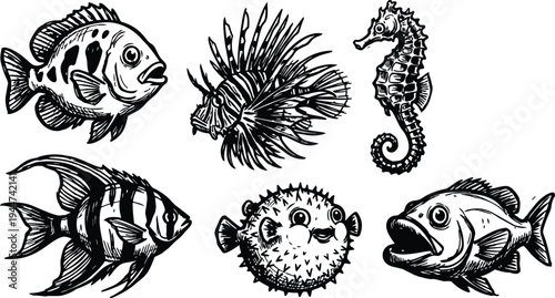 Line art marine creatures collection showing lionfish seahorse pufferfish angelfish and other fish in ink detailed hand drawn engraving style