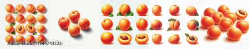 Apricot Fruit Vector Illustration Collection