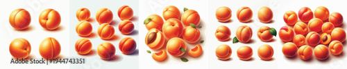 Apricot Fruit Vector Illustration Collection
