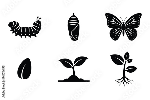 Life cycle icons: egg, caterpillar, pupa, butterfly