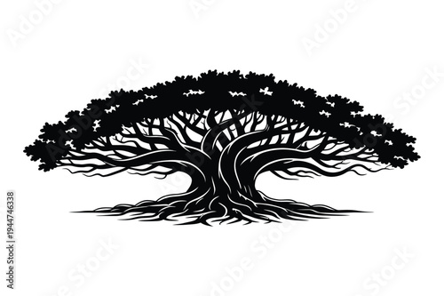 Giant banyan tree silhouette - detailed branches