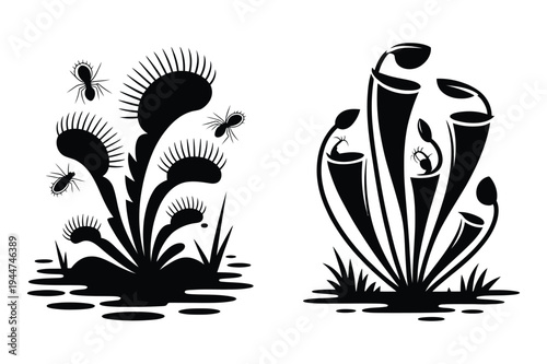 Carnivorous plants illustration: venus flytrap and pitcher plant silho