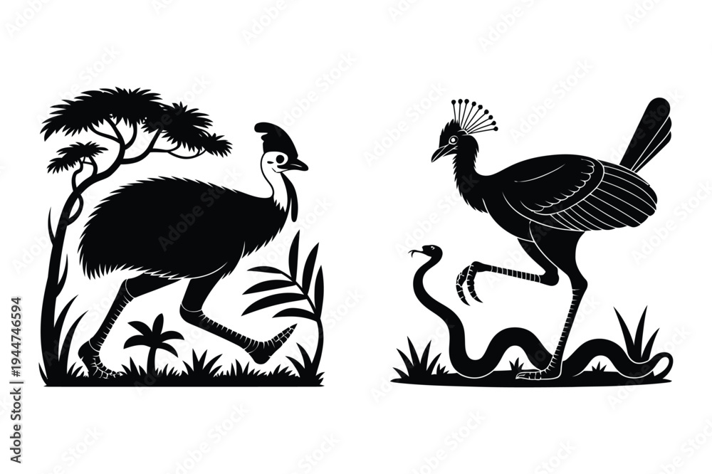 Obraz premium Emu in savannah and crowned crane with snake with black and white