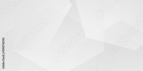 White abstract geometric background, soft gray polygonal shapes with transparency and light gradient for corporate design