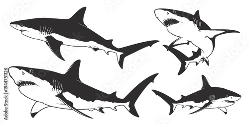 Underwater Predators: A stark illustration captures the power and elegance of several sharks in dynamic poses, showcasing their distinctive features and hinting at their predatory nature.