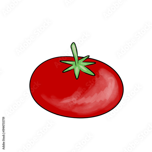 Colorful hand drawn tomato isolated on white background. Fresh vegetable illustration, organic healthy food concept.