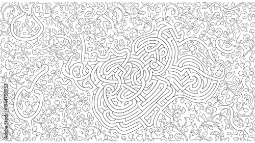 A detailed and complex adult coloring page featuring intricate swirling patterns and designs, perfect for relaxation and creative expression.
