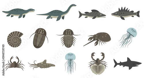 A diverse row of marine life silhouettes and sea creatures illustration.