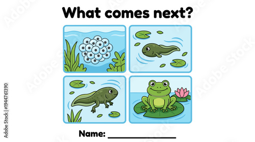 Cartoon illustration of frog lifecycle stages with question prompt  